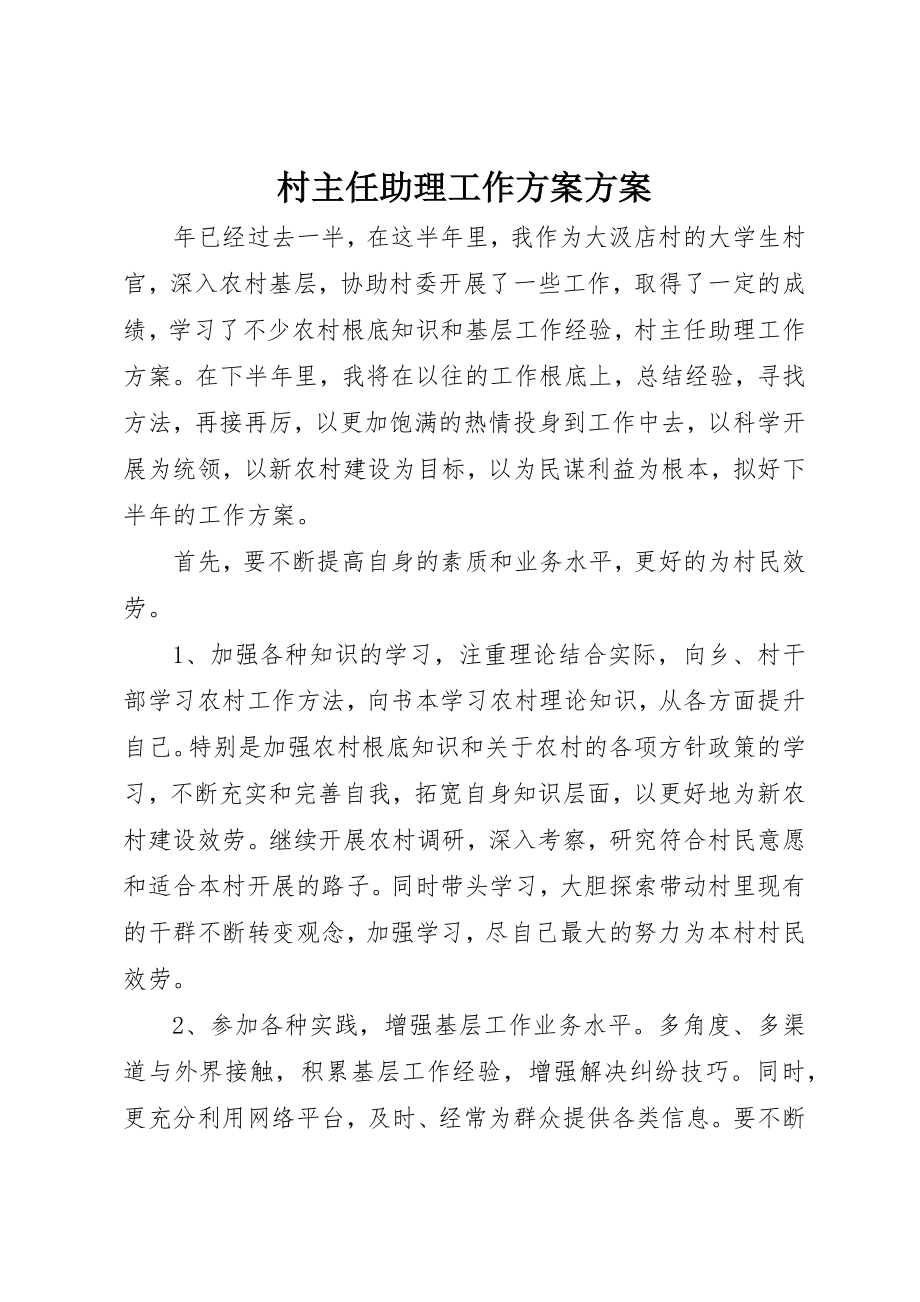 2023年村主任助理工作计划计划新编.docx_第1页