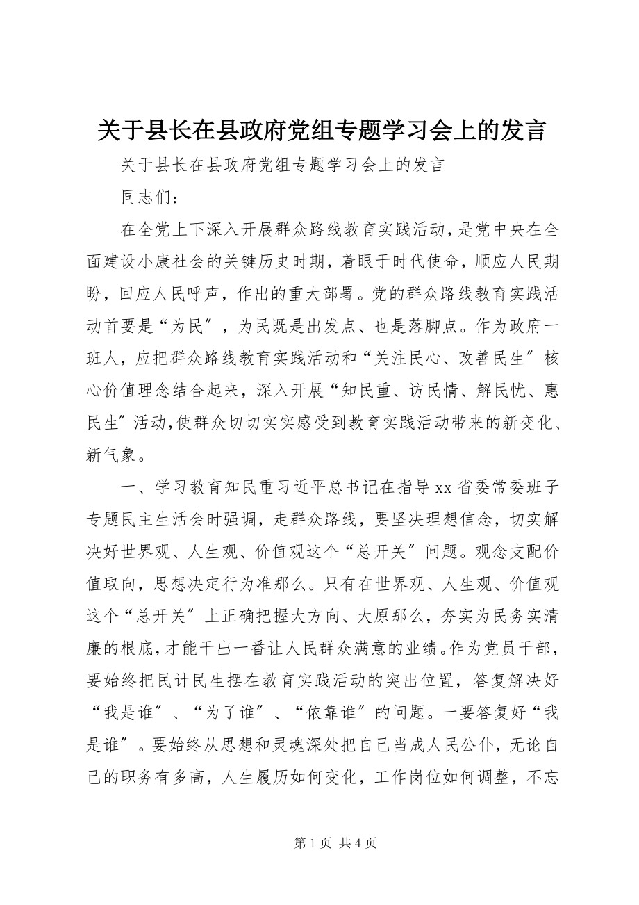 2023年县长在县政府党组专题学习会上的讲话.docx_第1页