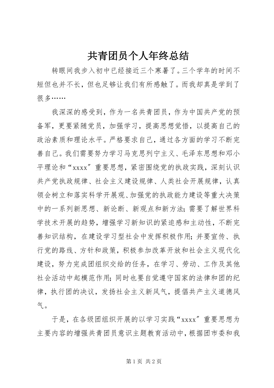 2023年共青团员个人年终总结.docx_第1页