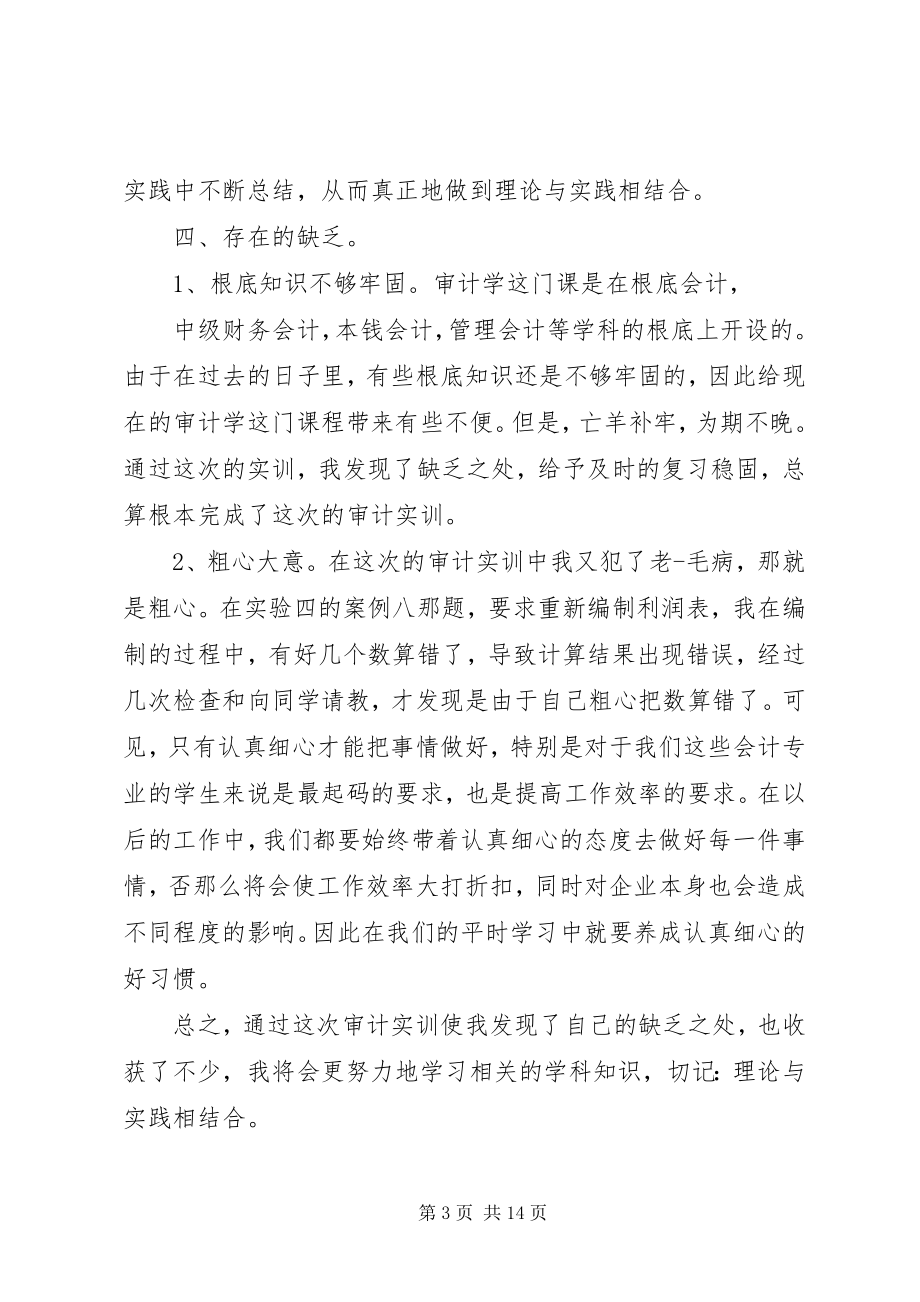 2023年审计心得体会4篇2.docx_第3页