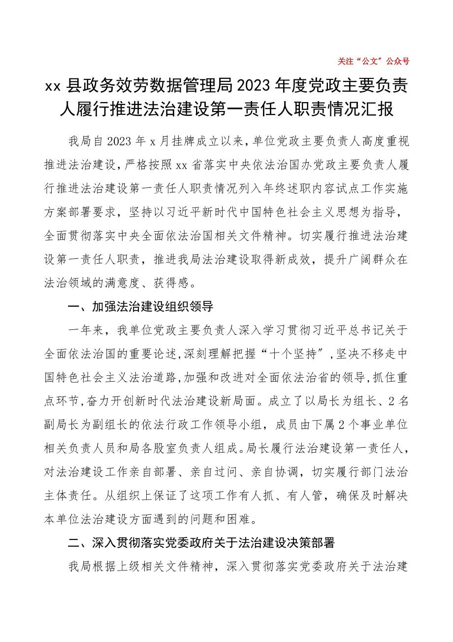 2023年度党政主要负责人履行推进法治建设第一责任人职责情况汇报法治政府建设工作总结汇报报告.doc_第1页