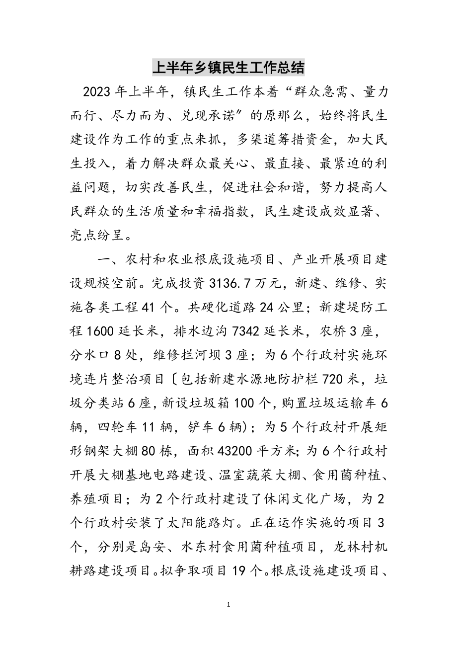 2023年上半年乡镇民生工作总结范文.doc_第1页