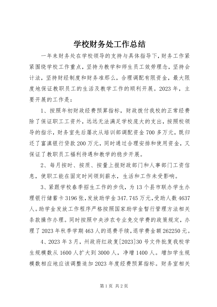 2023年学校财务处工作总结.docx_第1页