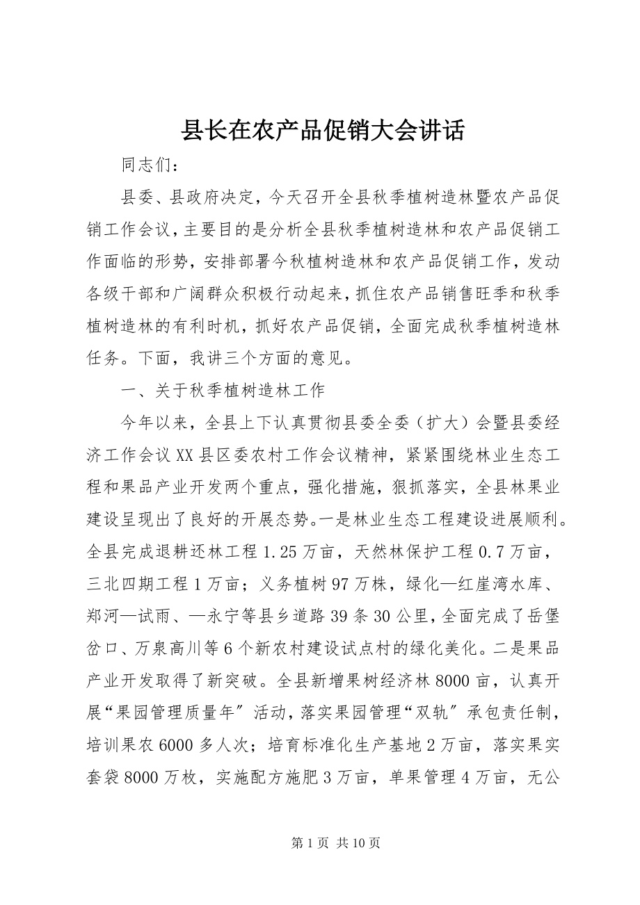 2023年县长在农产品促销大会致辞.docx_第1页