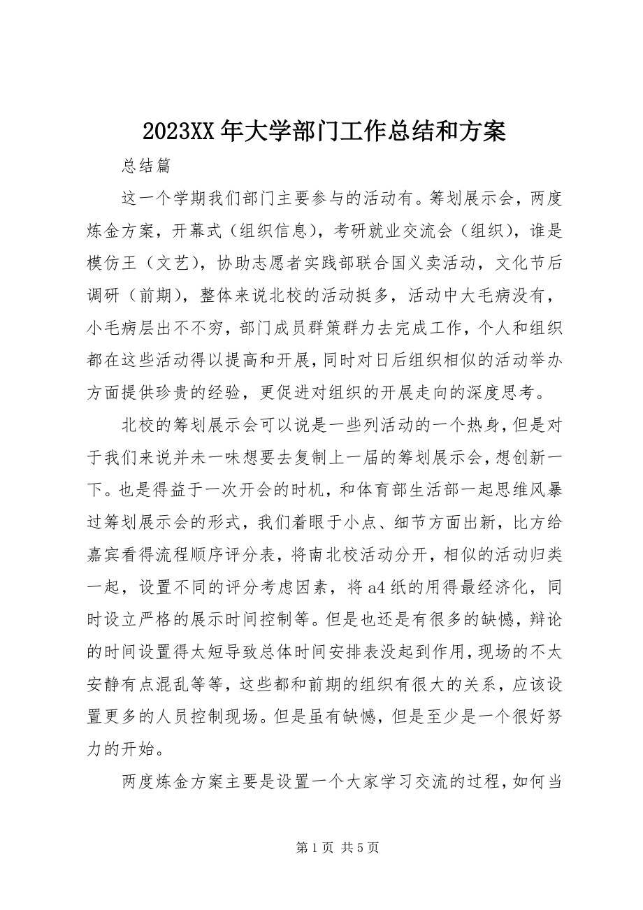 2023年大学部门工作总结和计划新编.docx_第1页