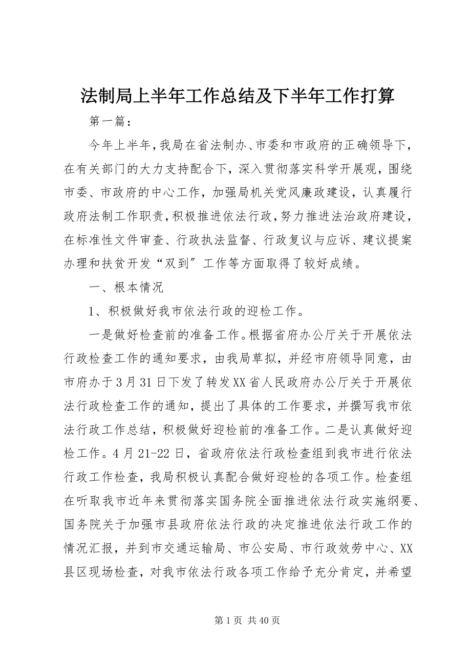 2023年法制局上半年工作总结及下半年工作打算.docx_第1页