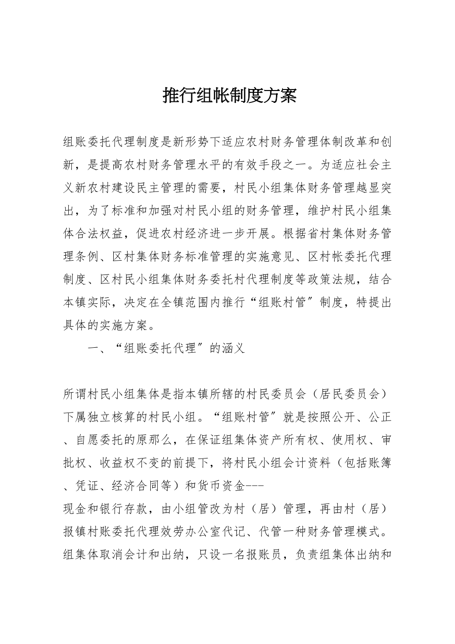 2023年推行组帐制度方案新编.doc_第1页