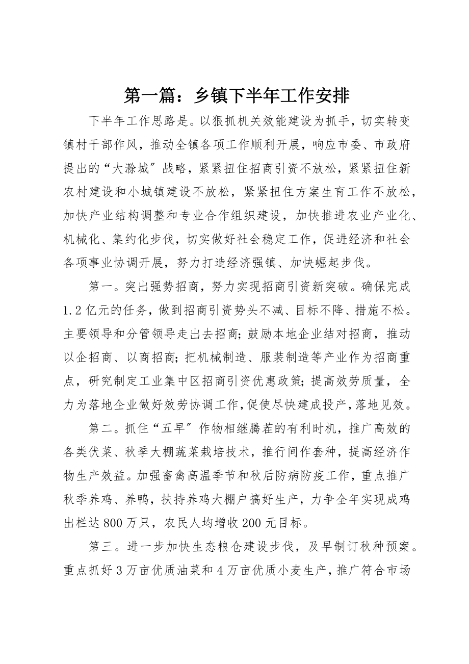 2023年xx乡镇下半年工作安排新编.docx_第1页