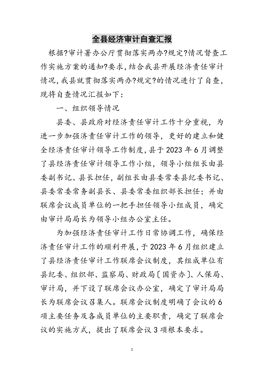 2023年全县经济审计自查汇报范文.doc_第1页