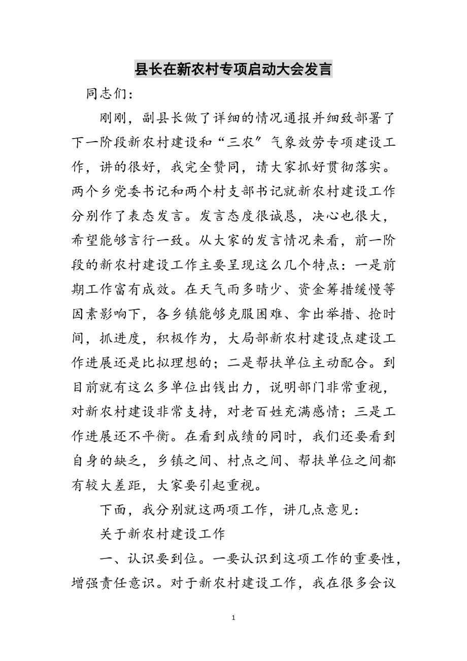 2023年县长在新农村专项启动大会发言范文.doc_第1页