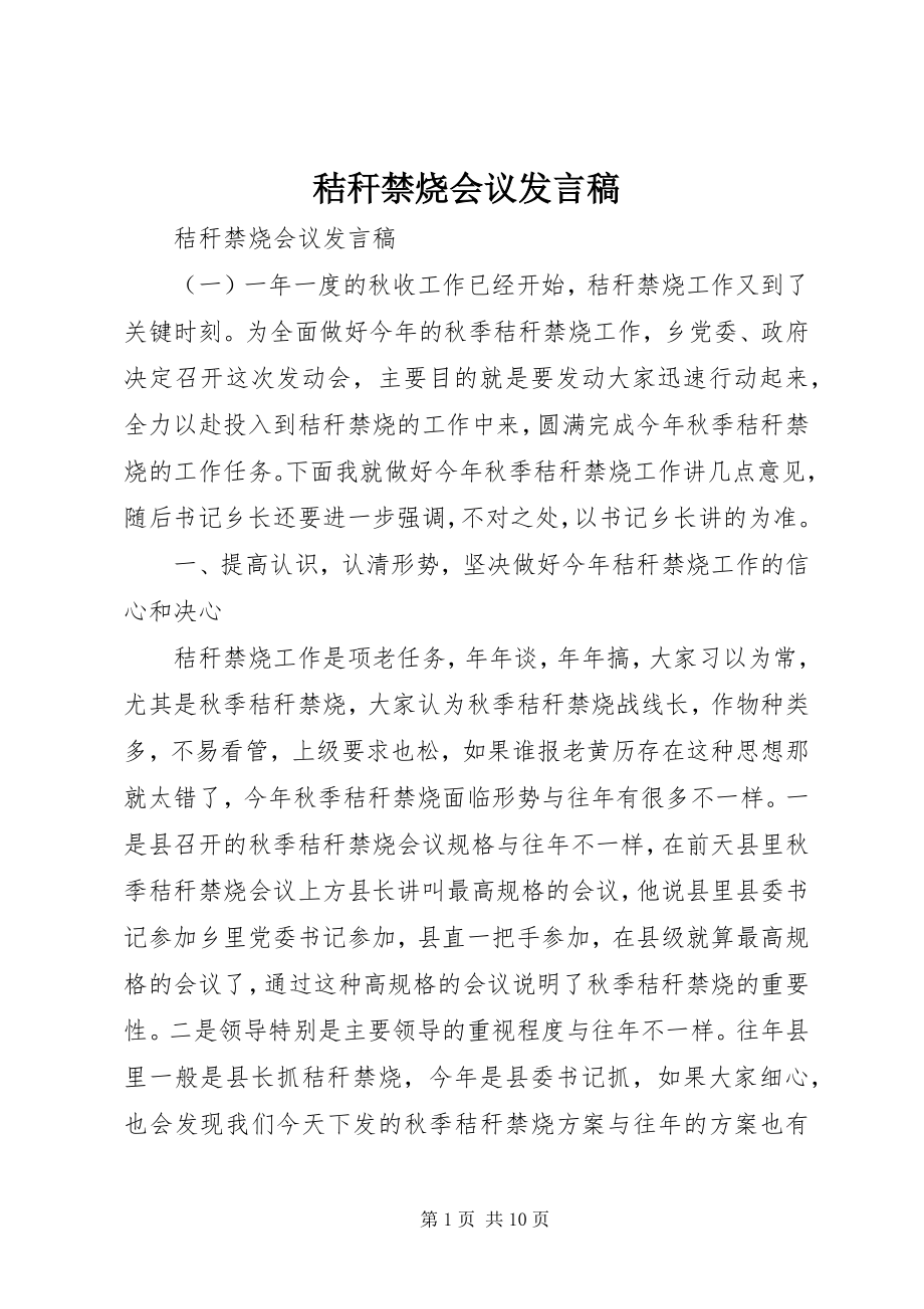 2023年秸秆禁烧会议发言稿.docx_第1页