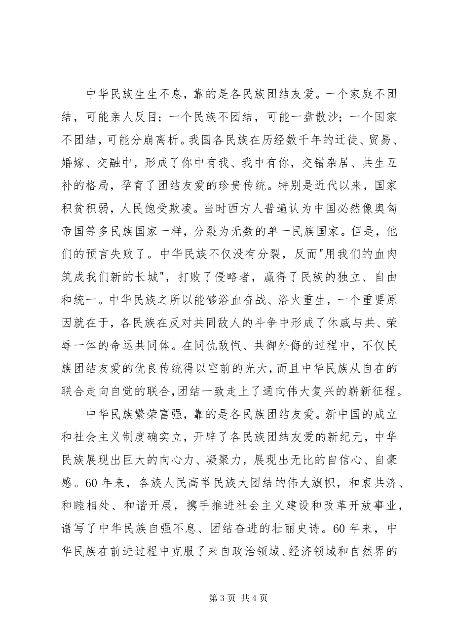 2023年民族团结学习材料.docx_第3页