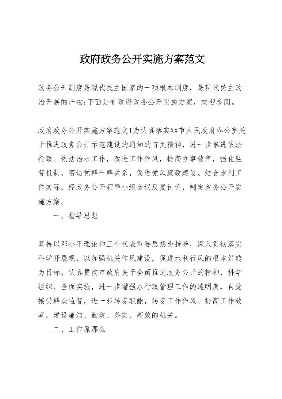 2023年政府政务公开实施方案范文.doc_第1页