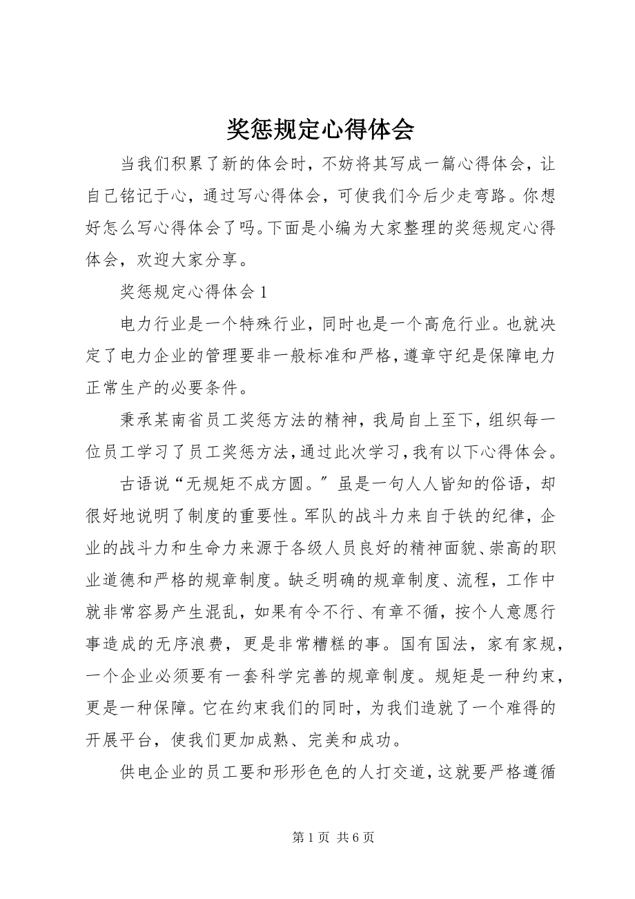 2023年奖惩规定心得体会.docx_第1页