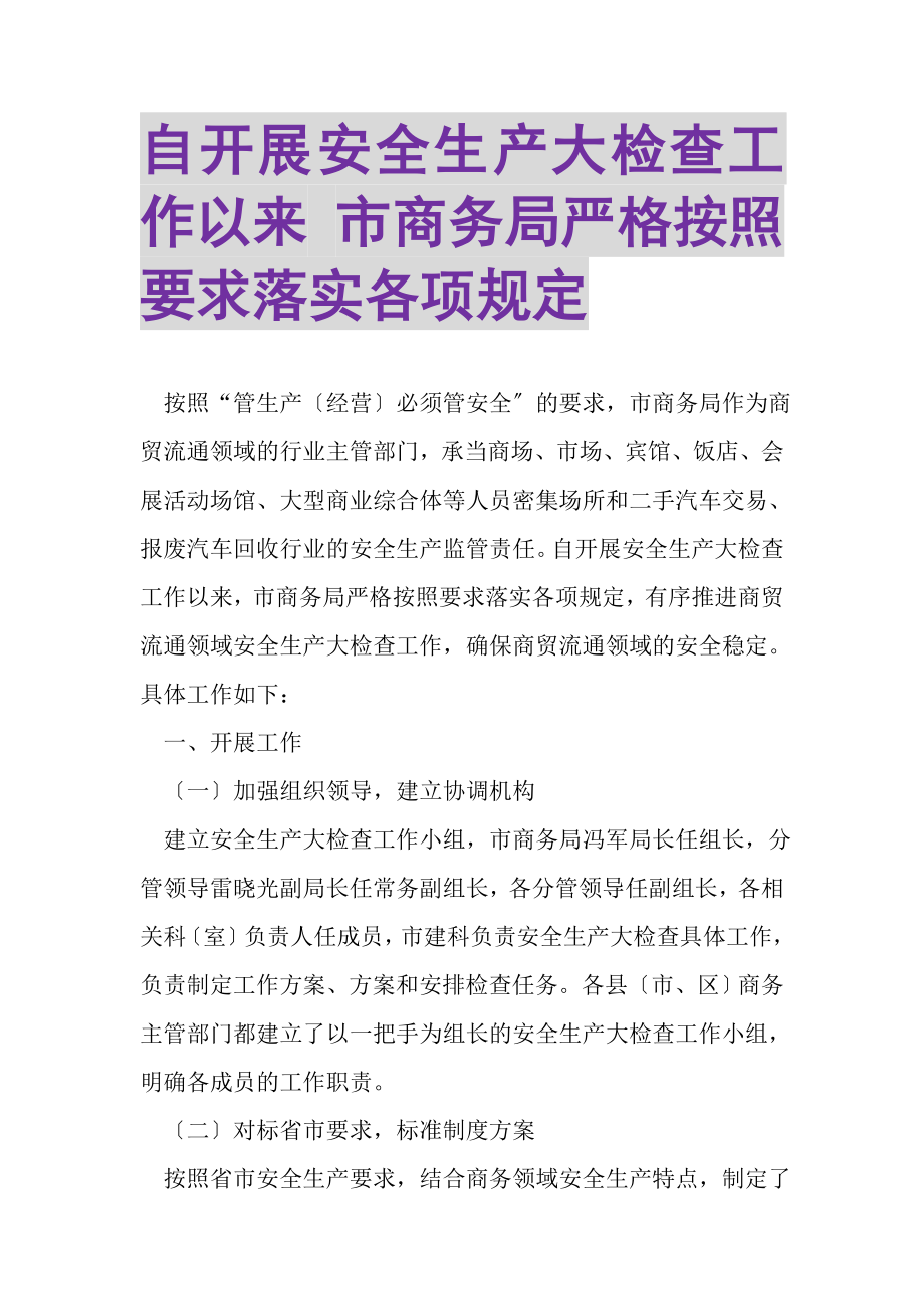 2023年自开展安全生产大检查工作以来市商务局严格按照要求落实各项规定.doc_第1页