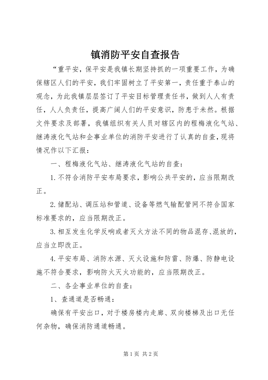 2023年镇消防安全自查报告.docx_第1页