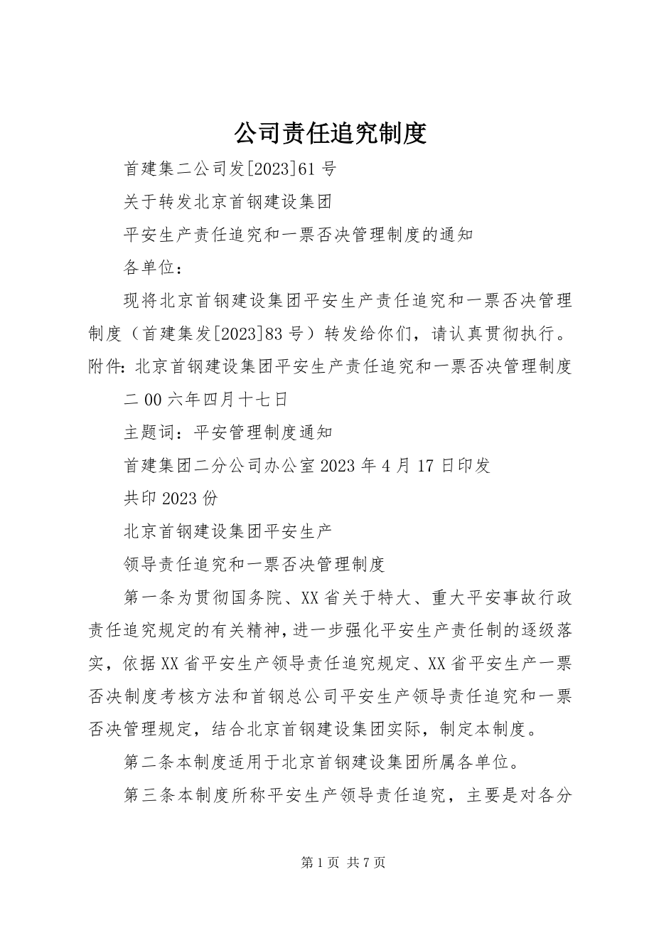 2023年公司责任追究制度.docx_第1页