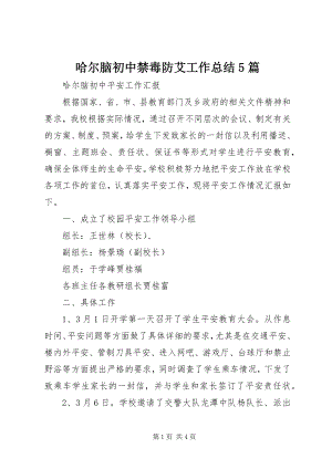 2023年哈尔脑初中禁毒防艾工作总结5篇.docx