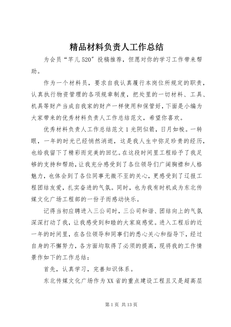 2023年精品材料负责人工作总结.docx_第1页