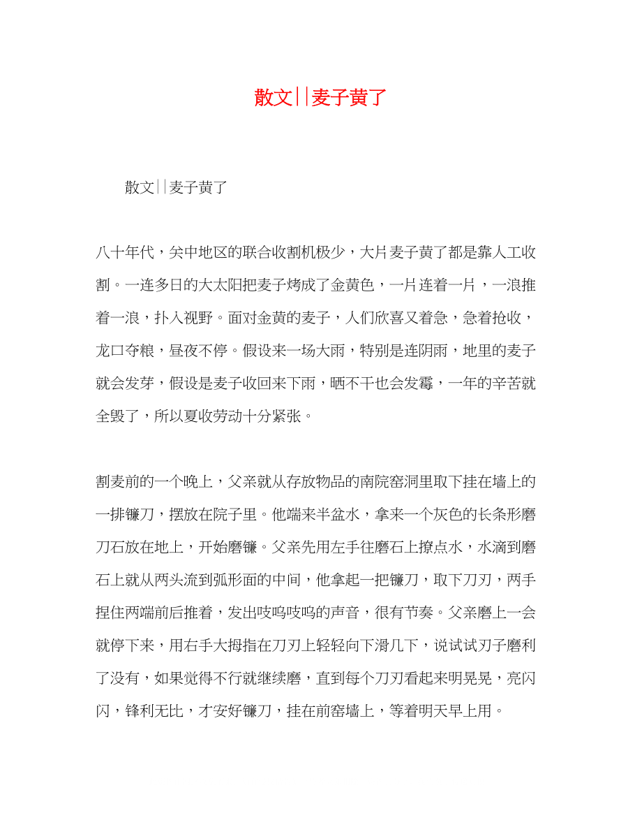 2023年散文麦子黄了.docx_第1页