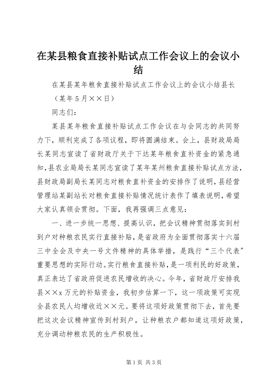 2023年在某县粮食直接补贴试点工作会议上的会议小结.docx_第1页