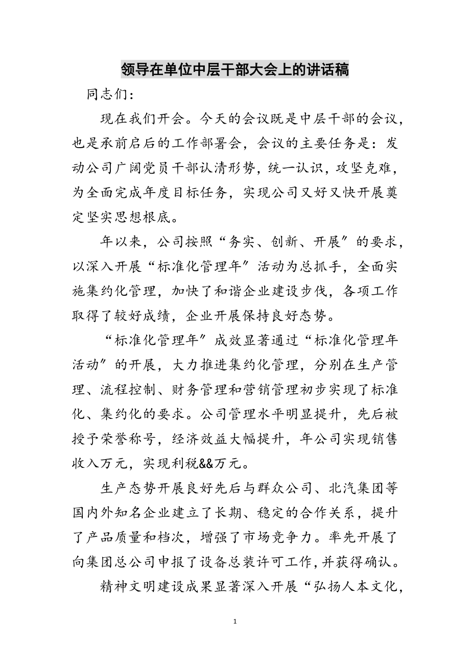 2023年领导在单位中层干部大会上的讲话稿范文.doc_第1页