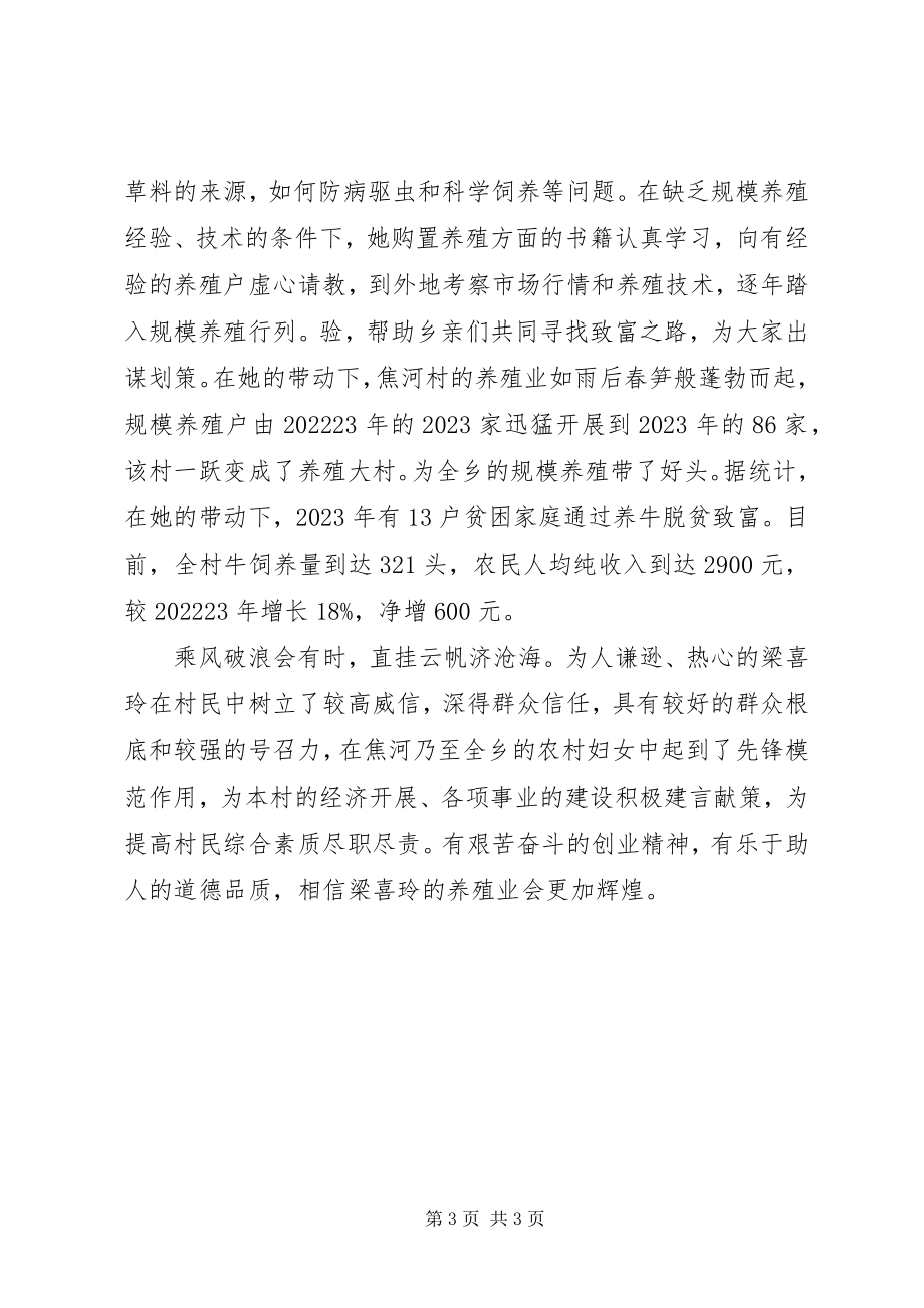 2023年双学双比女能手主要事迹.docx_第3页