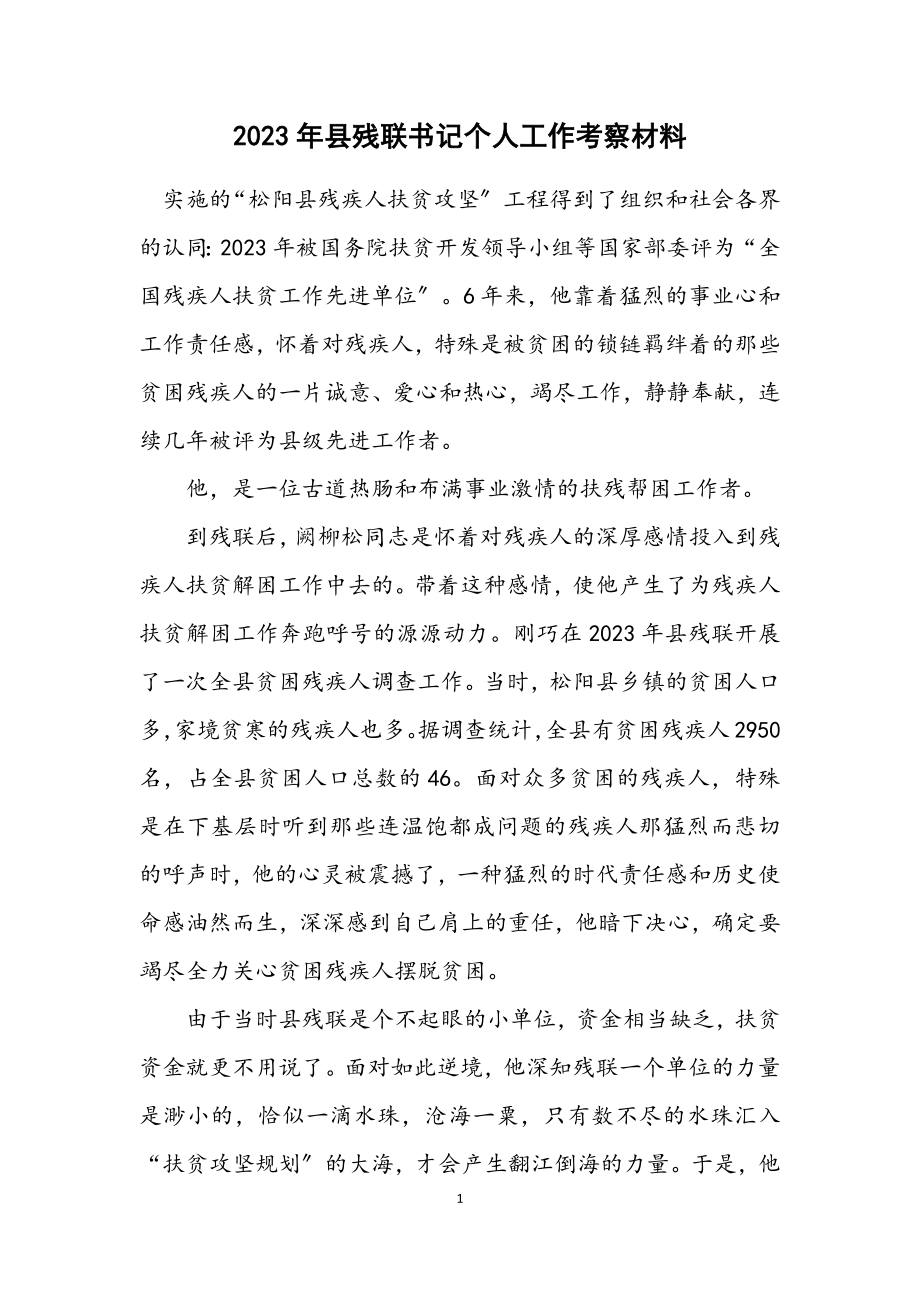 2023年县残联书记个人工作考察材料.docx_第1页