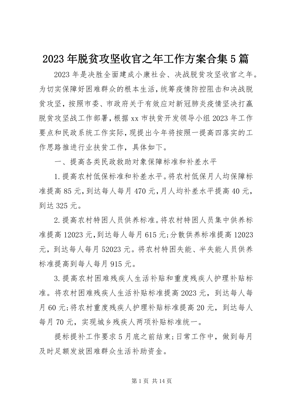 2023年脱贫攻坚收官之年工作计划合集5篇.docx_第1页