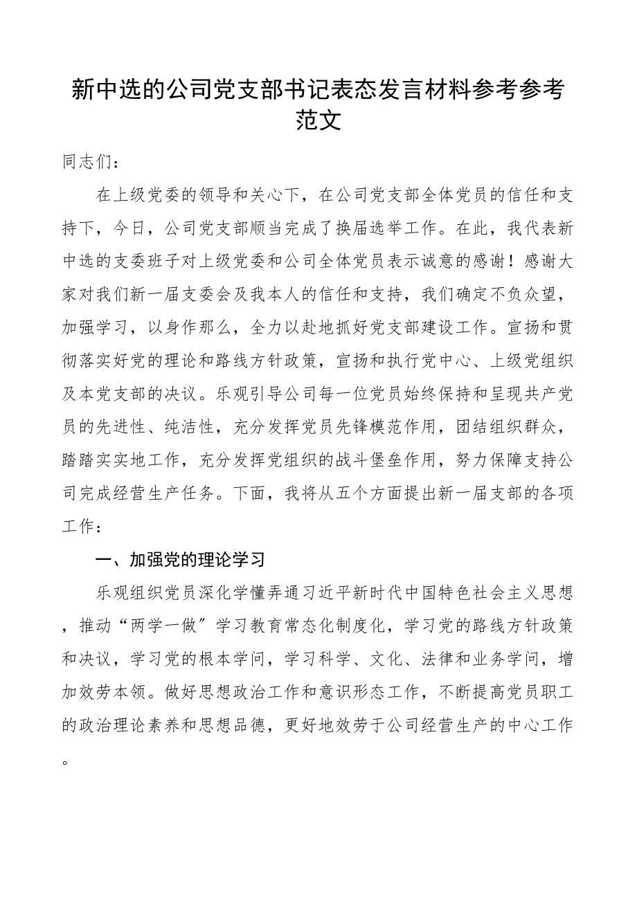 2023年新当选公司党支部书记表态发言材料换届选举新任职文章.doc_第1页