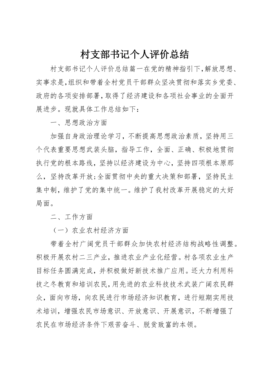 2023年村支部书记个人评价总结新编.docx_第1页