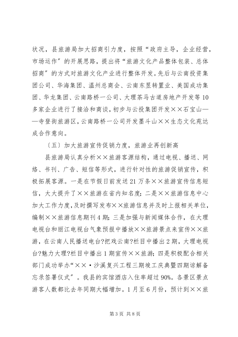 2023年旅游事业局上半年工作总结及下半工作计划计划.docx_第3页