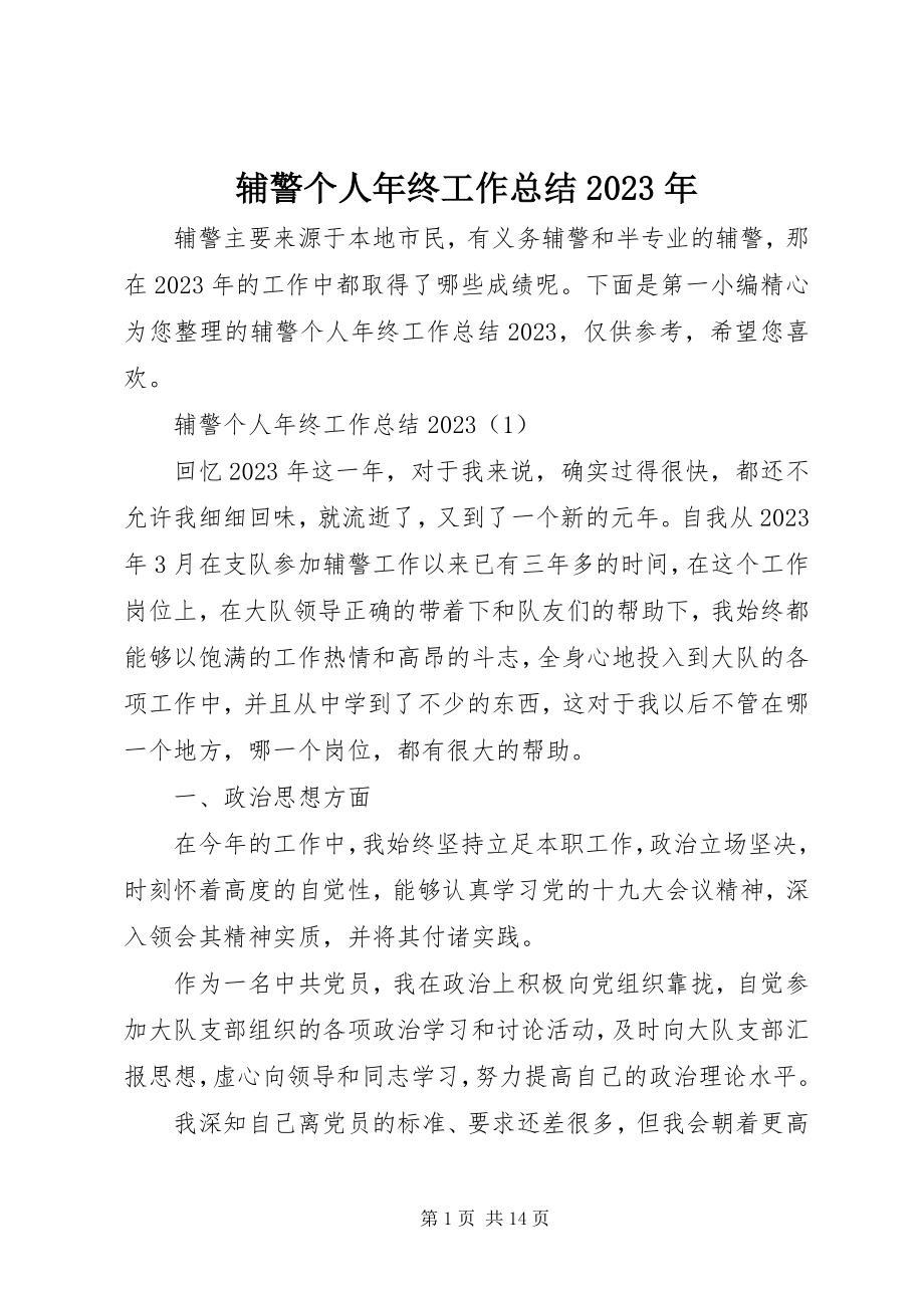 2023年辅警个人年终工作总结某年.docx_第1页