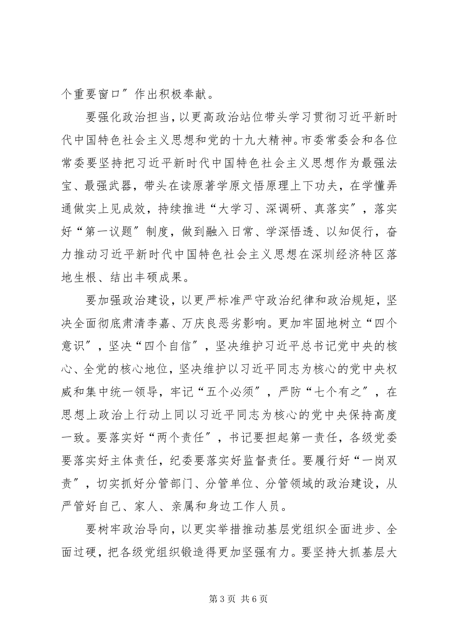 2023年政府领导班子巡视整改专题民主生活会讲话稿3篇.docx_第3页