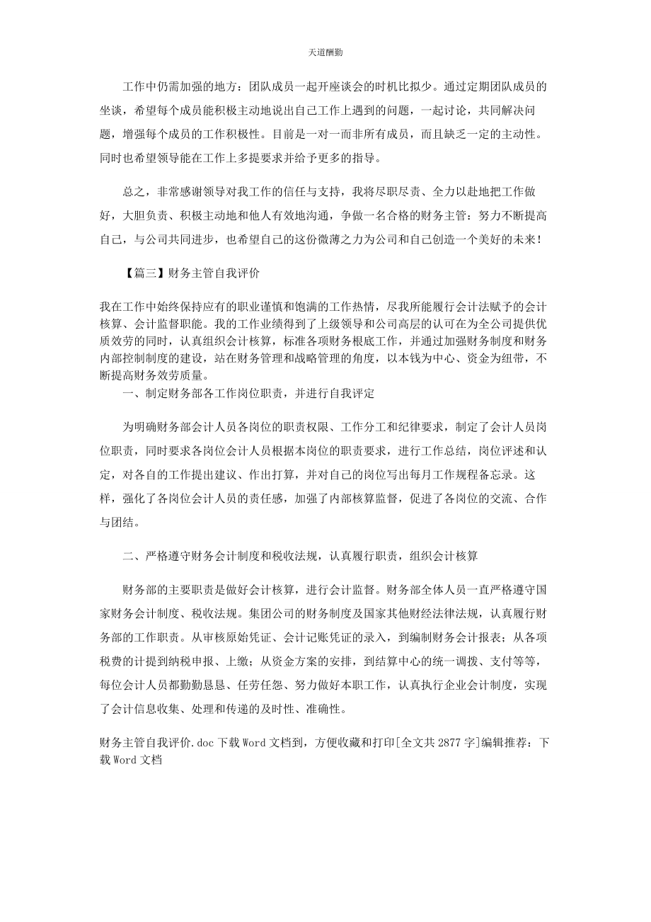 2023年财务主管自我评价.docx_第3页