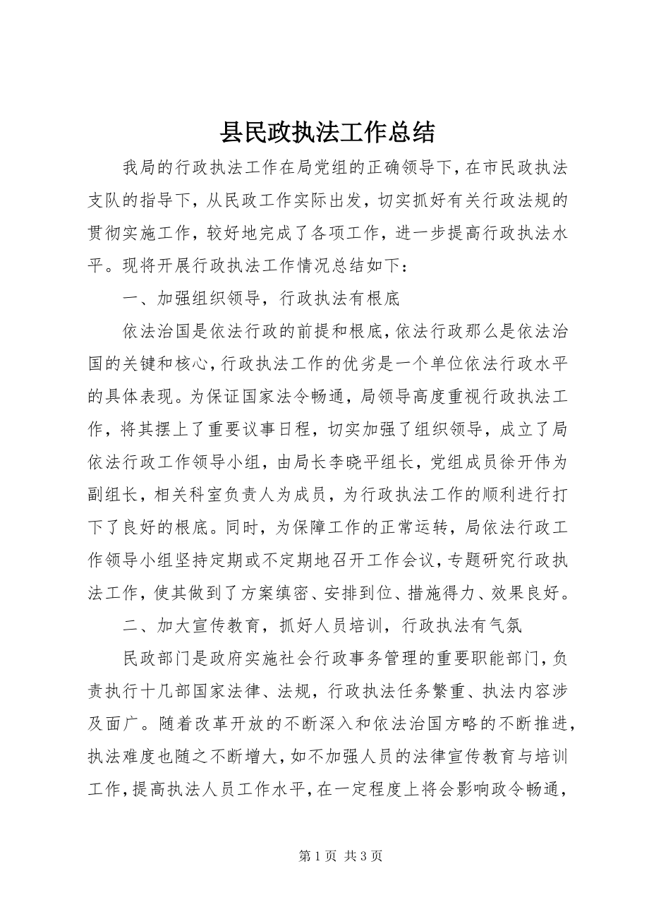 2023年县民政执法工作总结.docx_第1页