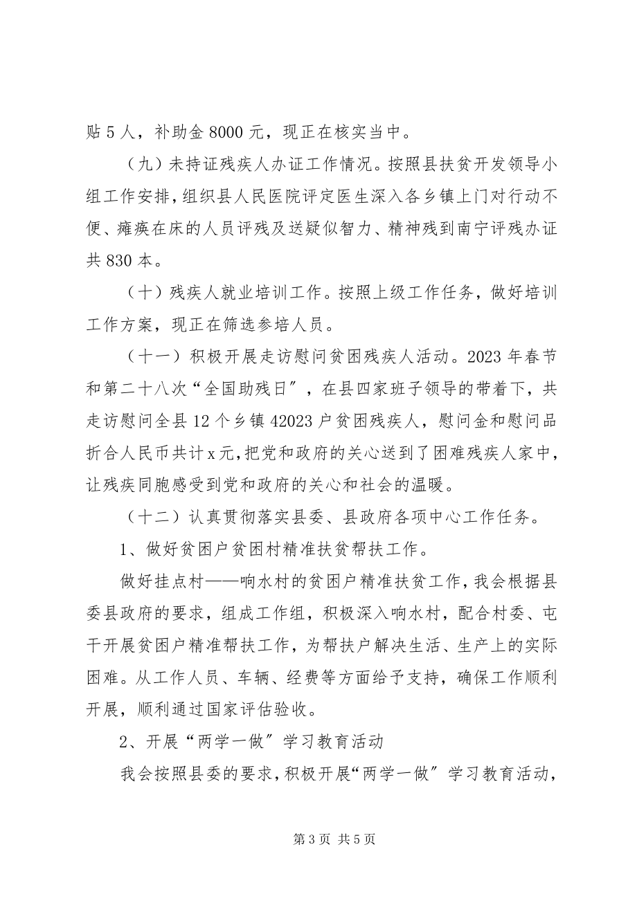 2023年残联上半年工作总结及下半年工作计划2新编.docx_第3页