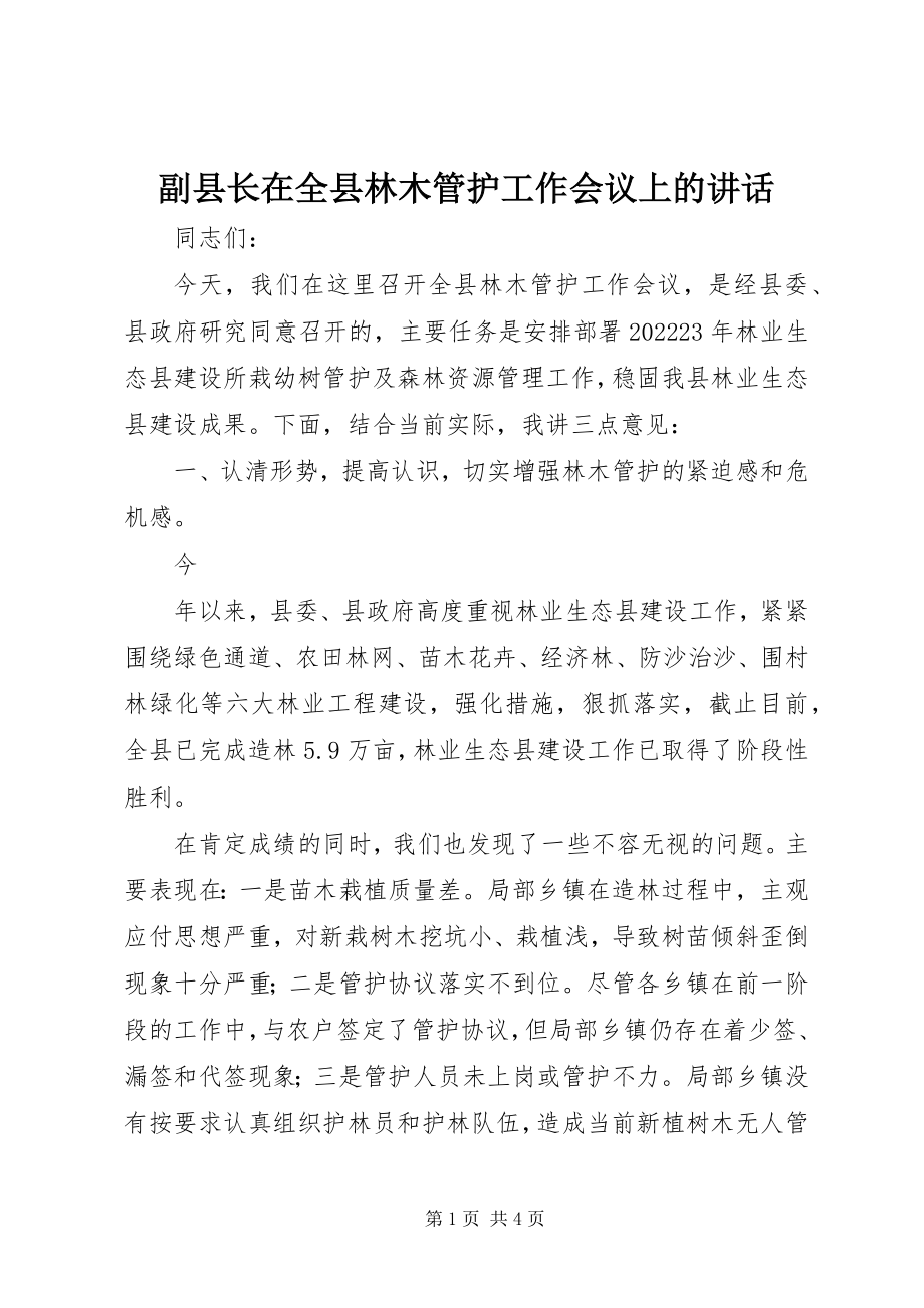 2023年副县长在全县林木管护工作会议上的致辞.docx_第1页