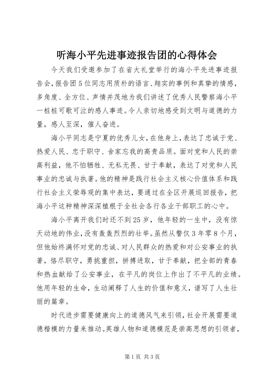 2023年听海小平先进事迹报告团的心得体会.docx_第1页