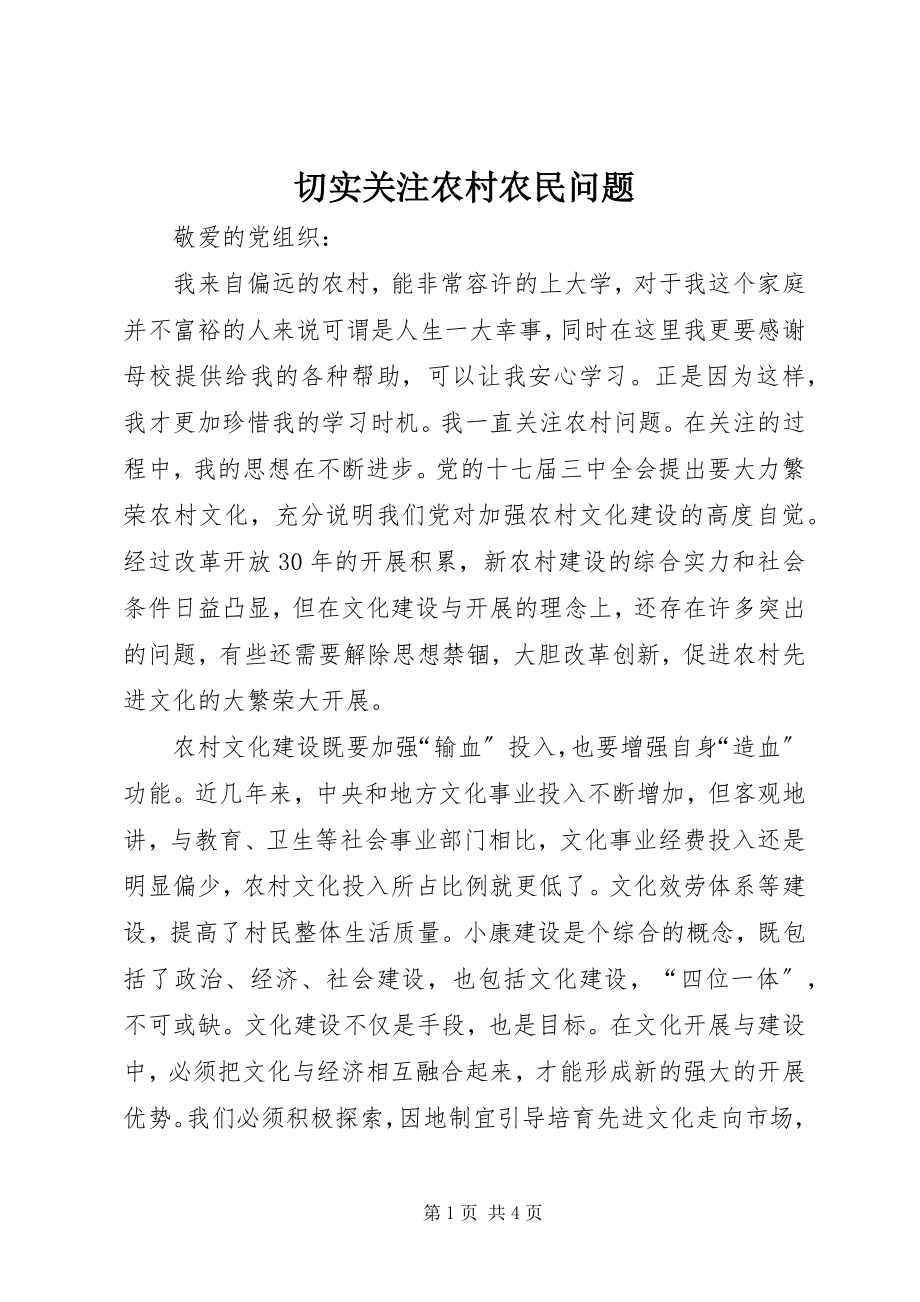 2023年切实关注农村农民问题.docx_第1页