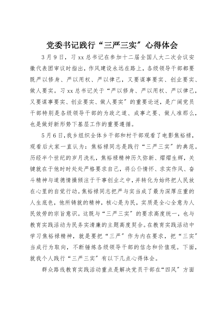 2023年党委书记践行“三严三实”心得体会.docx_第1页