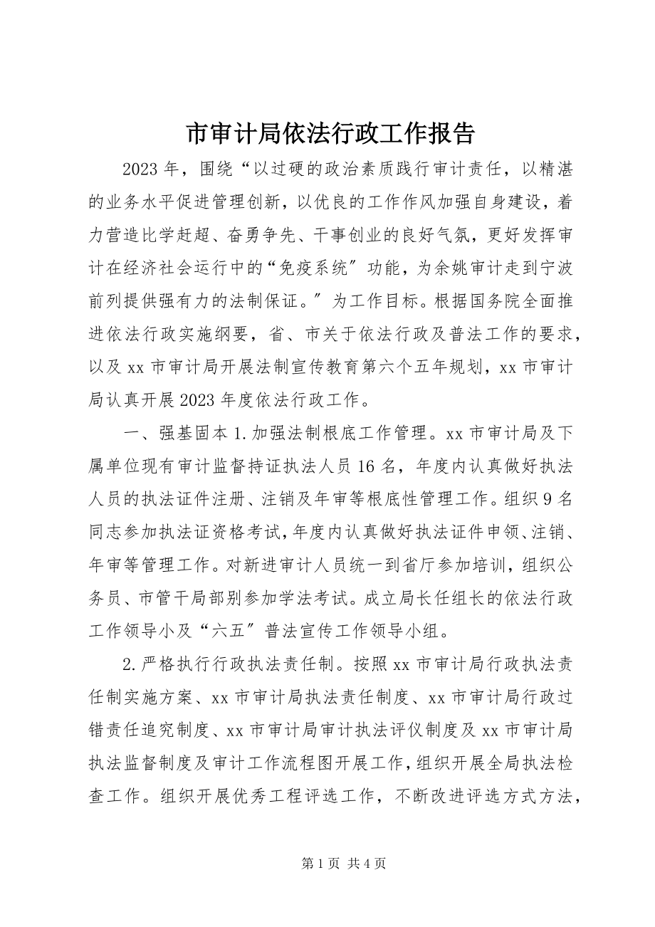 2023年市审计局依法行政工作报告.docx_第1页