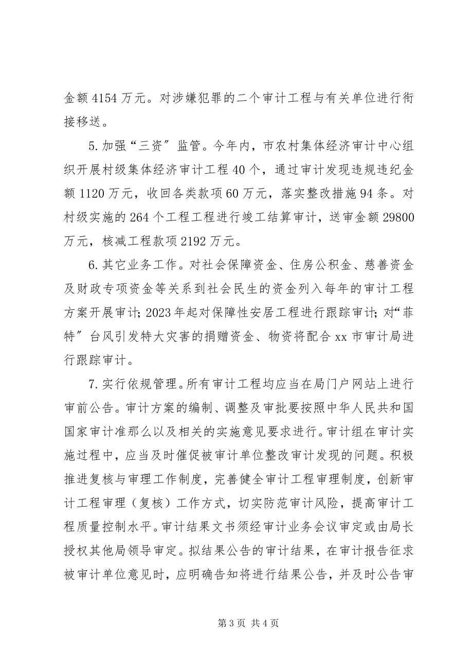 2023年市审计局依法行政工作报告.docx_第3页