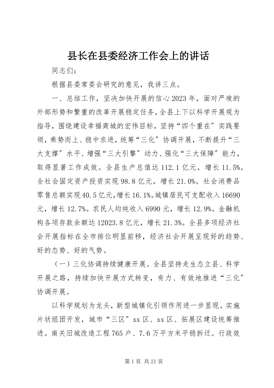 2023年县长在县委经济工作会上的致辞.docx_第1页