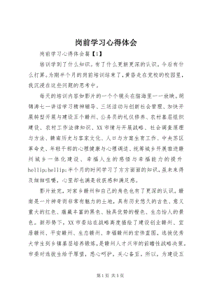 2023年岗前学习心得体会.docx