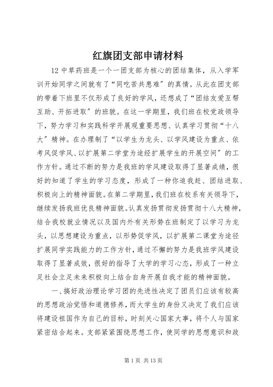 2023年红旗团支部申请材料.docx_第1页