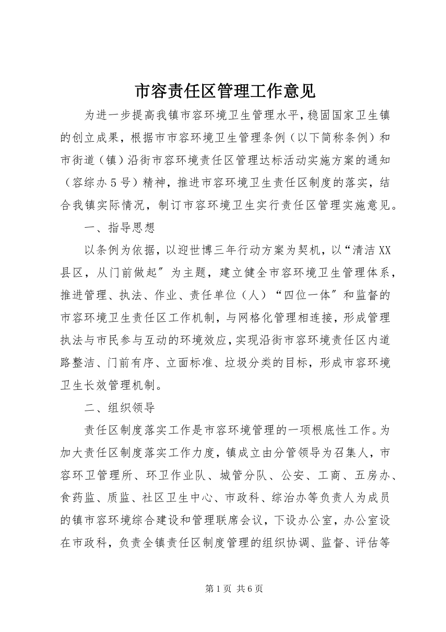 2023年市容责任区管理工作意见.docx_第1页