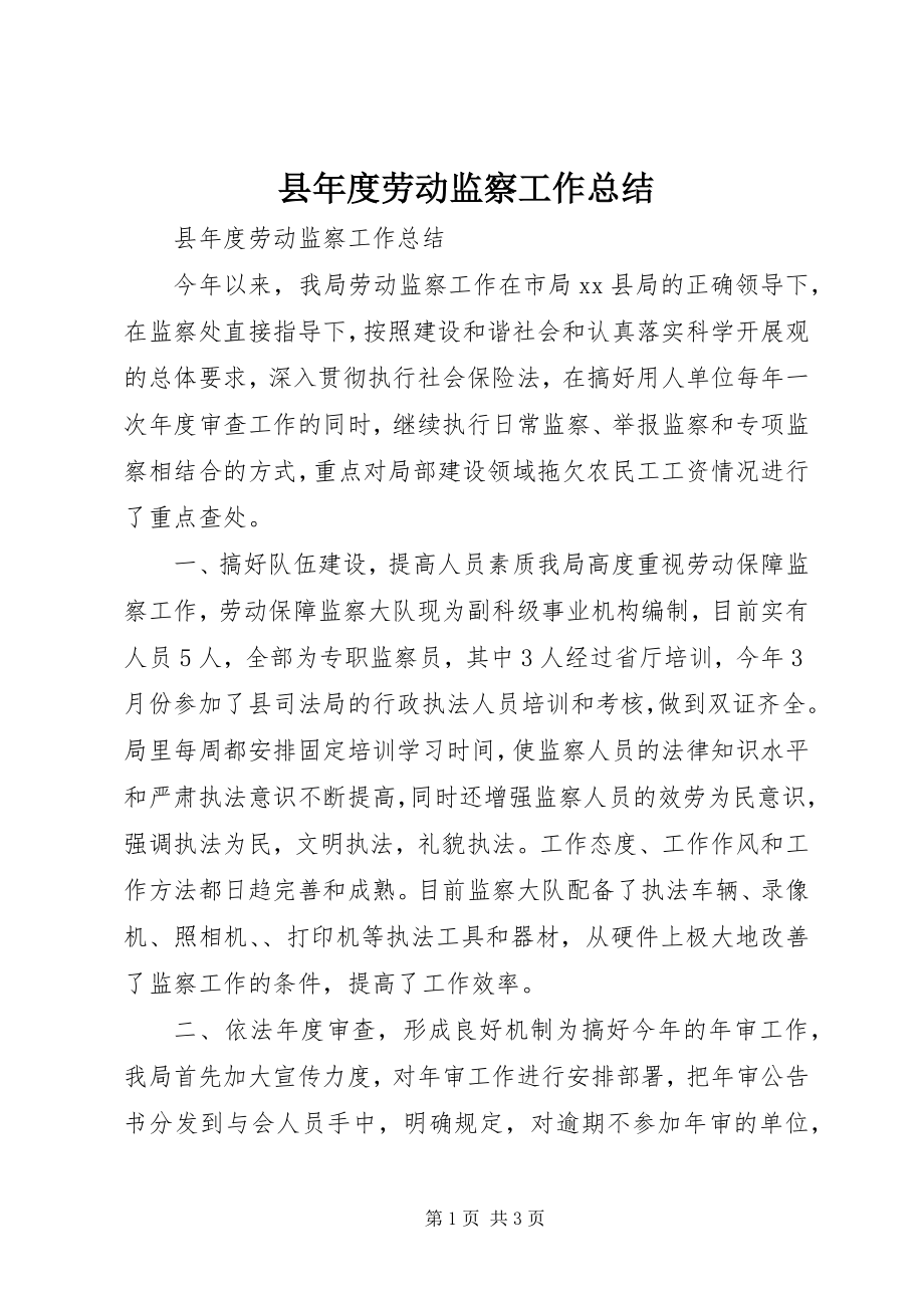 2023年县年度劳动监察工作总结.docx_第1页