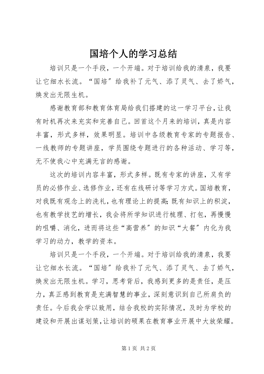 2023年国培个人的学习总结.docx_第1页