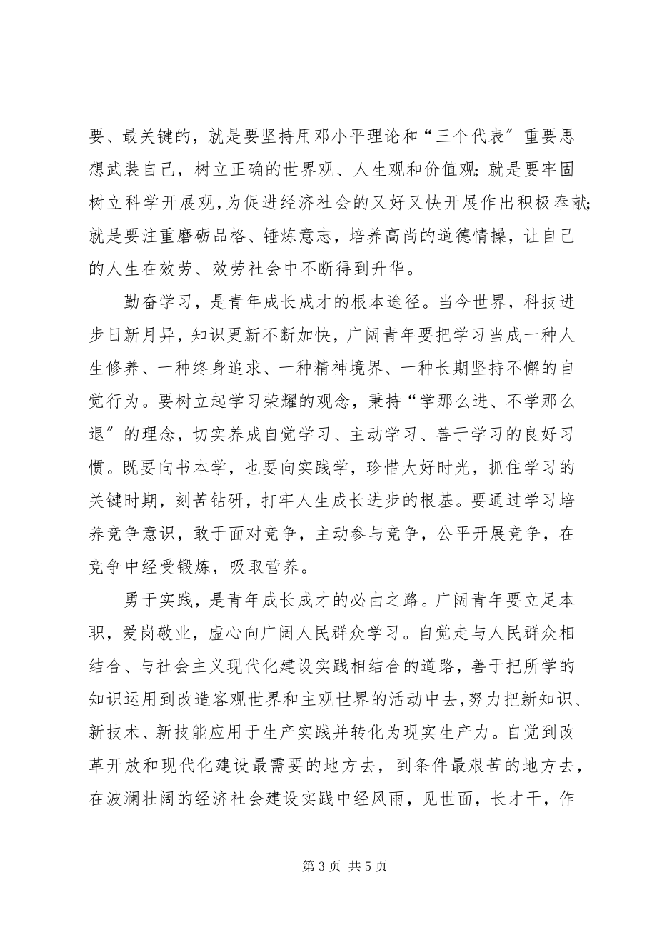 2023年市长在青年岗位表彰会致辞.docx_第3页